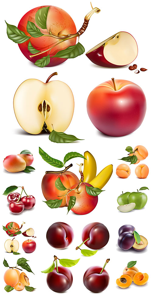     , , ,  / Fruits and berries vector, pear, plum, apple