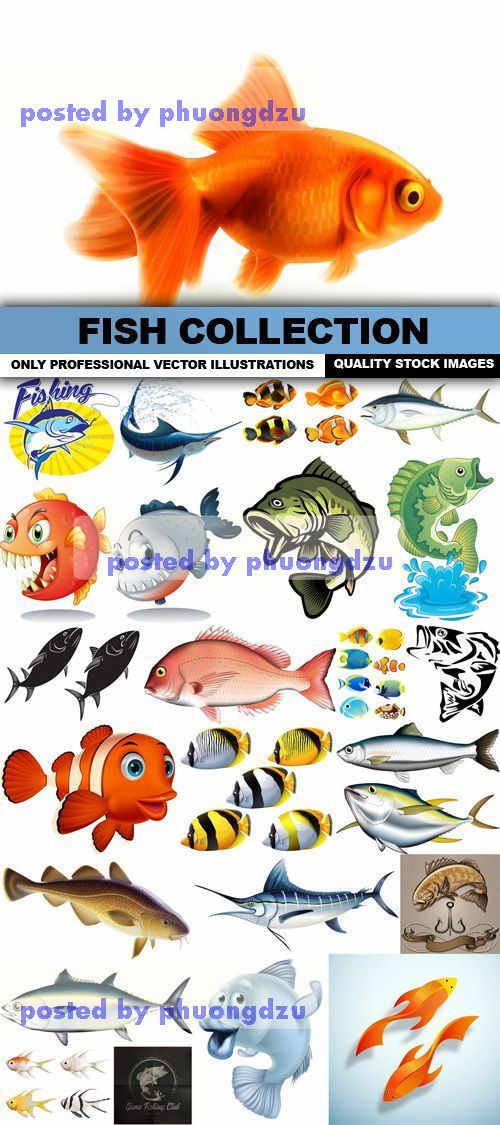 Fish Collection 1