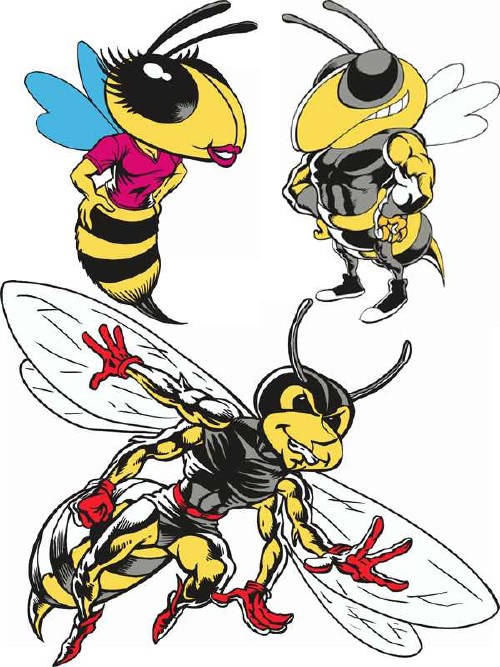 Стильные пчелы - вектор
