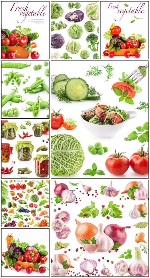 Fresh vegetable collection - Stock Photo