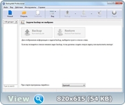 Backup4all Professional 5.0 Build 463
