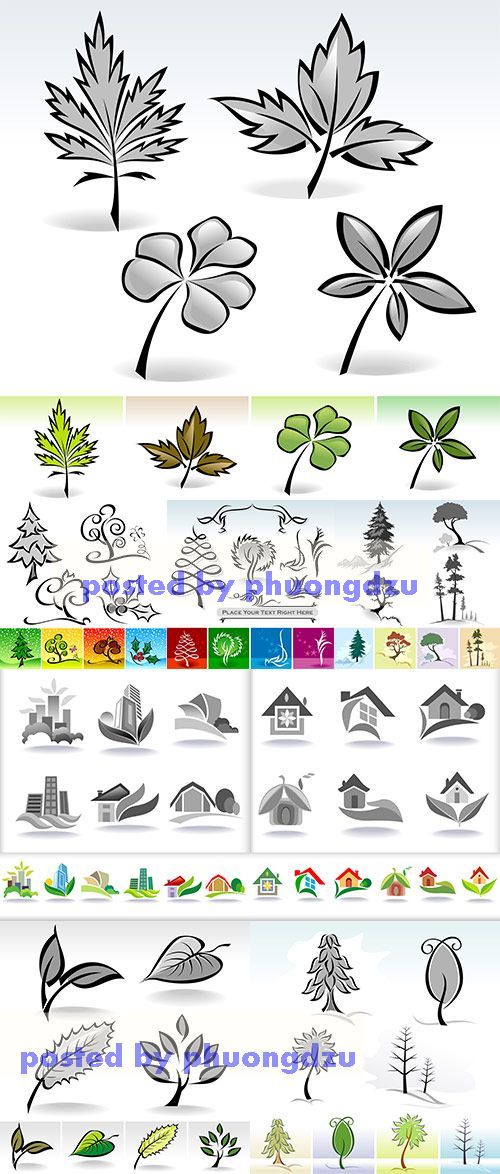 Stock: Leaf icons Calligraphic Illustration 6