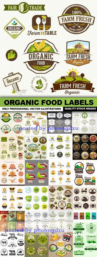 Organic Food Labels 3