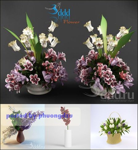 [Max] 3DDD - Flower highres models