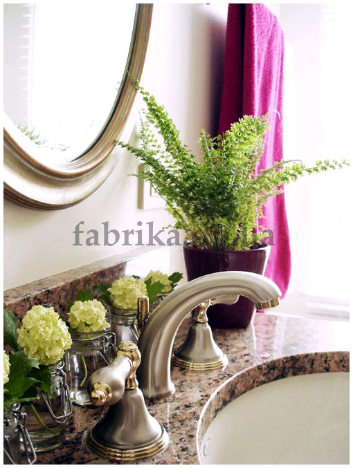 Какие цветы можно держать в ванной комнате без окна  - практичный совет
