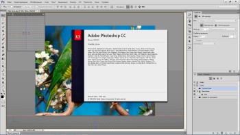 Adobe Photoshop CC 2014 (2014) PC | RePack by D!akov