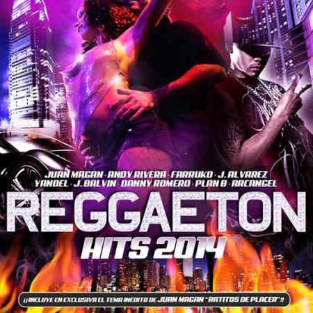 Reggaeton Hits 2014 (2014)