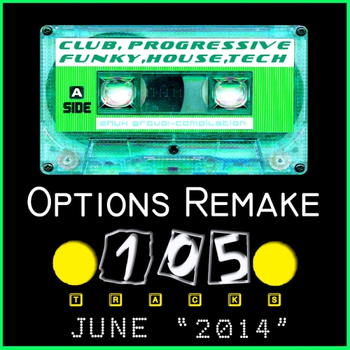 Options Remake 100 Tracks JUNE 2014 (2014)