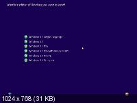 Microsoft Windows 8.1 with Update RTM 9600.17031 x86/x64 AIO by CtrlSoft(2014/ENG)