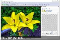 Tint Guide Software Pack DC 29.05.2014