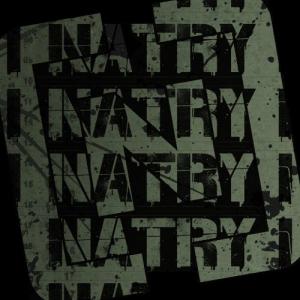 Natry - Нейроновый Шепот [New Track] (2014)